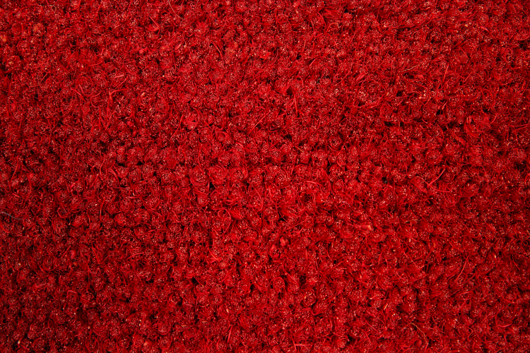 ARUBA 18 - Tapis brosse coco, coloris ROUGE