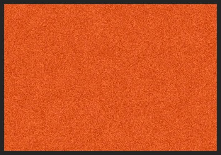 ALI QAPU - Tapis de propreté, coloris ROUGE