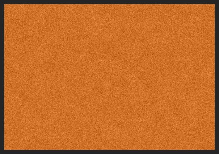 ALI QAPU - Tapis de propreté, coloris ROUGE