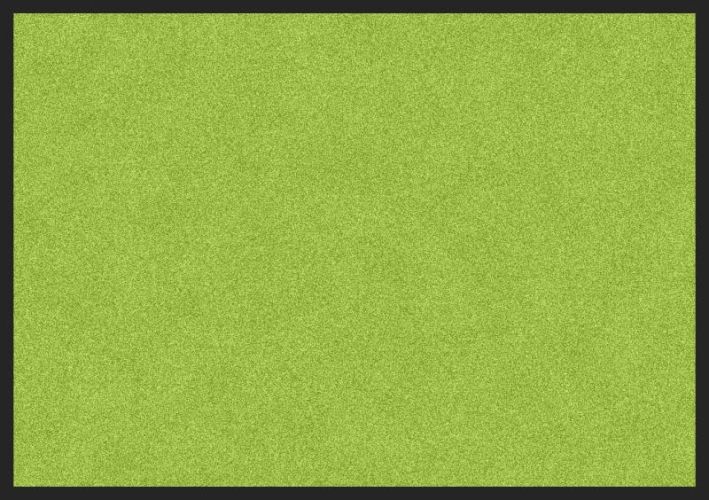 ALI QAPU - Tapis de propreté, coloris ROUGE