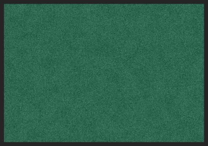 ALI QAPU - Tapis de propreté, coloris ROUGE