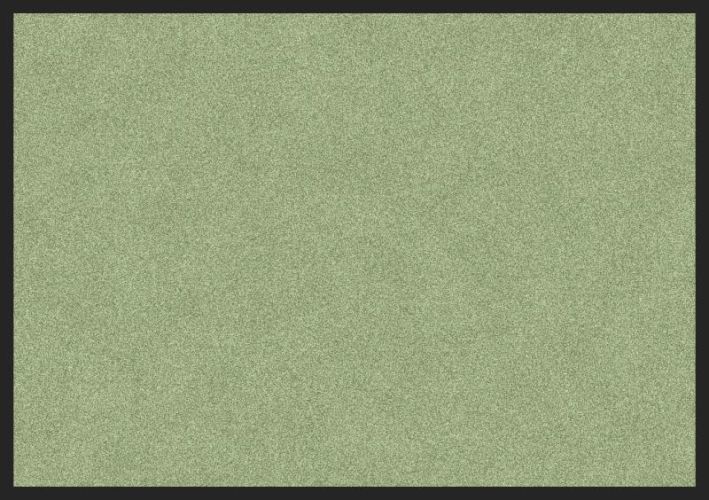 ALI QAPU - Tapis de propreté, coloris ROUGE