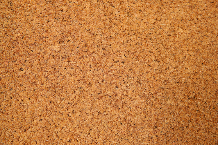 ARUBA 17 - Tapis brosse coco